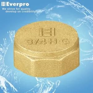 Female Cap/Brass Fitting (EFC-DF38)