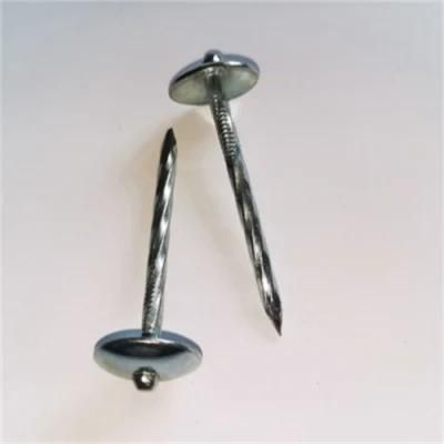 Metal Plated Roofing Nails/Daily Packaging with Cap Nails Roofing Nails Big Head Umbrella Hat Tile Nails