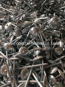 China Hot Sale Galvanized Smooth Roofing Nail with Big Umbrella Head