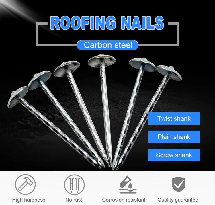 Galvanized Umbrella Roofing Nails 2inches Bwg12