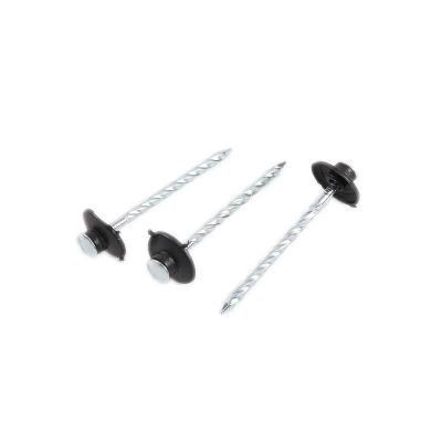 Umbrella Head Roofing Nail Roofing Steel Nails