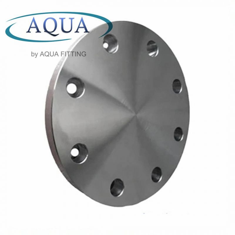 ASME/ANSI/DIN/GOST/BS En 150#-2500 Carbon Steel Plate Flat Face Pipe Flange