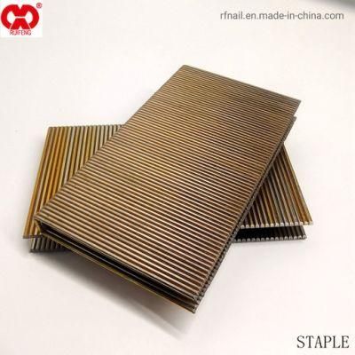 Good Quality Nails in China Direct Manufacturer in Anhui Galvanized Q Series Heavy Wire Staples.