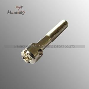 Brass Sealing Screws Used on Electricity Meter (S003)