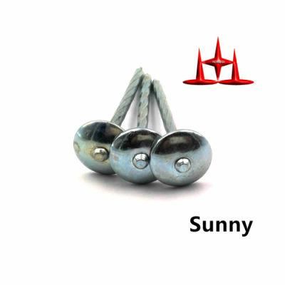 Eg Coil Roofing Nail with Rubber Manufacturers Roofing Nails