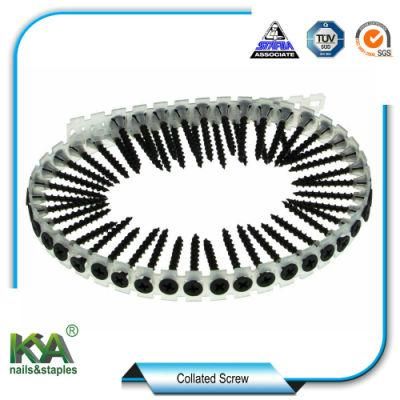 3.5X55mm Collated Drywall Screw for Wood
