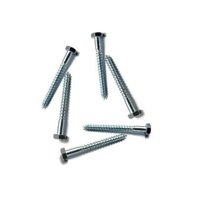 Hexgon Head Lag Screw DIN571