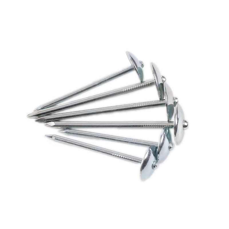 Galvanized Steel Nails Stainless Steel Iron Nails