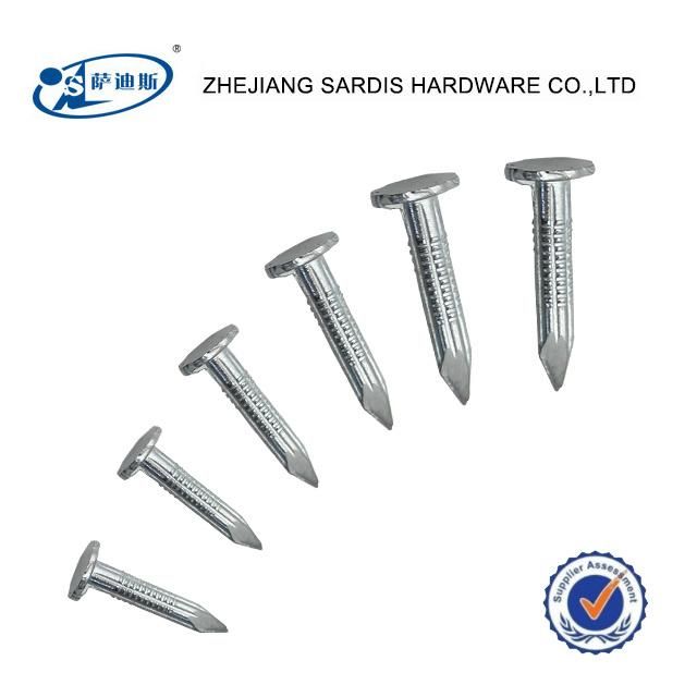 Polish Coating Flat Head Concrete Nails