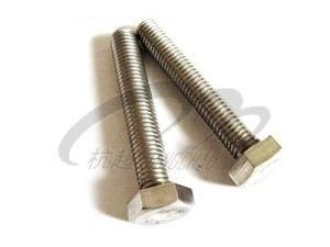 Hexagon Bolt (DIN933) Stainless Steel 304/316