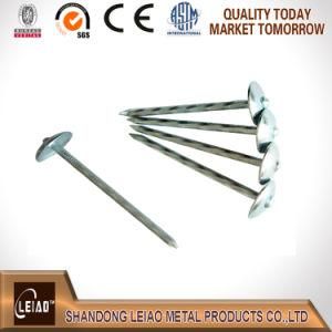 Hot Sale Roofing Nail with Umbrella Head /Galvanized Nail