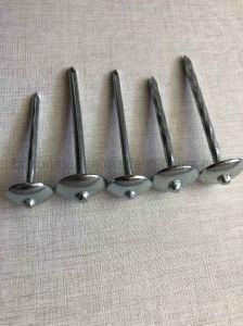 Umbrella Head Twisted High Quality Roofing / Coil Nails for Construction