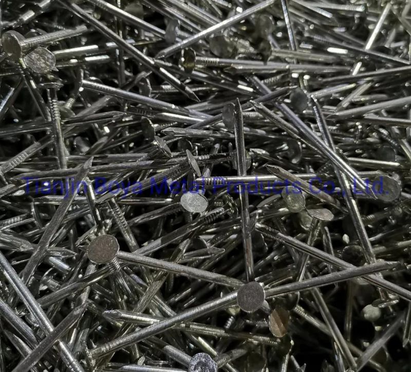 Flat Head Clout Roofing Nail for Construction in Tianjin Supplier