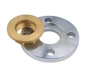 Stainless Steel Flange Female Thread Copper Lining Companion Flange