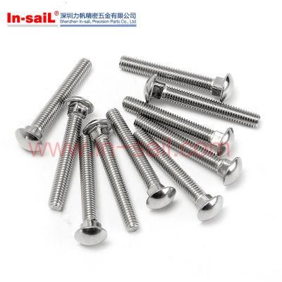 Stainless Steel Carriage Bolt with Hole