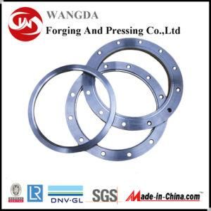 Zhangqiu API Stainless Large Diameter Forging Flange (300-6500mm)