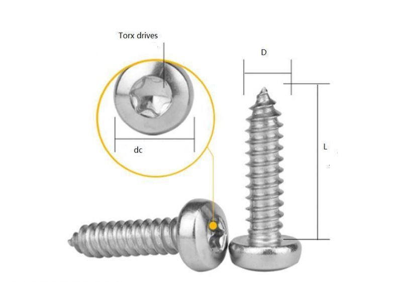 Stainless Steel Torx Drives of Pan Head Self Tapping Screw /Timber Screw From St2.9 to St6.3