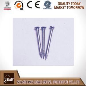China Supply Best Quality Common Nail