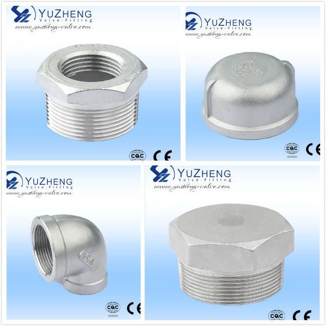 Stainless Steel 304/316 Hex Plug