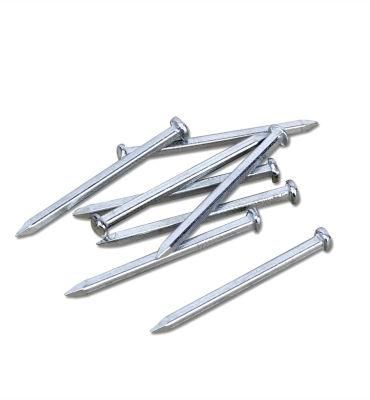 Guangzhou High Quality Square Boat Nail