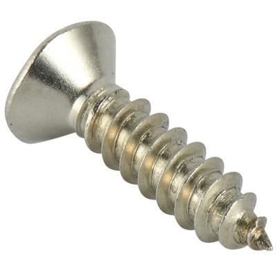 Screw St3.5*13 Stainless Still Slef-Tapping
