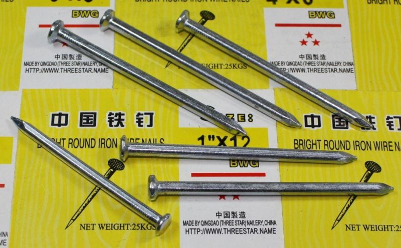 Vietnam Philippines Singapore Market/Boat (ELLIPTICAL) Nails/Galvanized Square Boat Nails/3inch Boat Nails