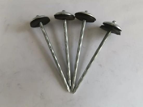 Chinese Factory Supply 3 Inch Wire Nails for Roof Roofing spiral Shank Roofing Nails