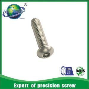 Precision Security Screw Safety Screws