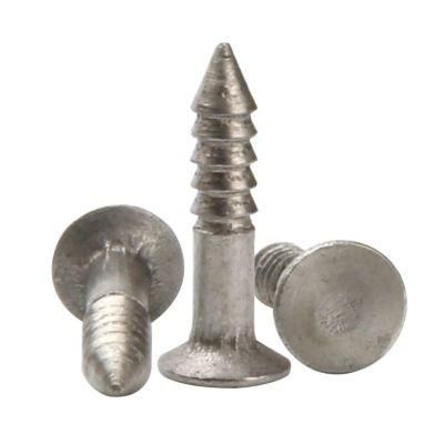 Special Titanium Countersunk Flat Head Self Tapping Umbrella Thread Screw