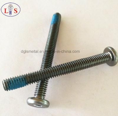 Flat Head Hexagon Socket Screw and Bolt with Nylok