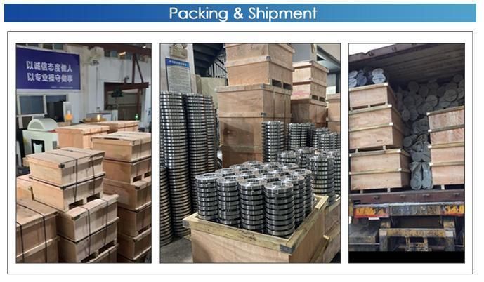 ASME B16.9 Steel Pipe Fitting 300# Socket Weld Flange