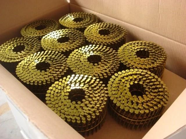 High Quality Electro Galvanized China Coil Roofing Nails for Gun