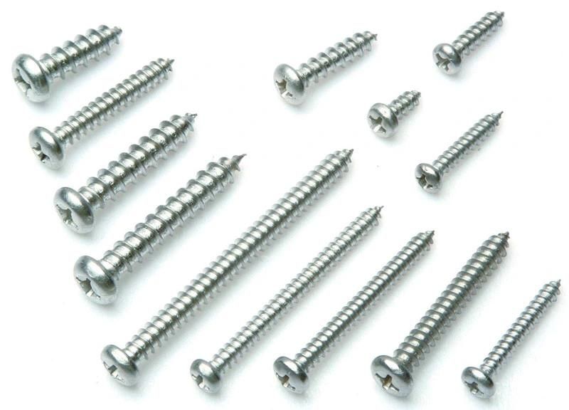 Galvanized Pan Head Self Tapping Screw in Guangzhou