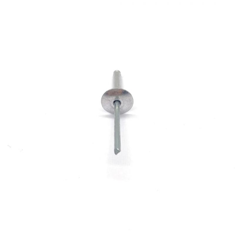 Stainless Steel 304 316 Rivet SS316 SS304 Flat Head Blind Rivet