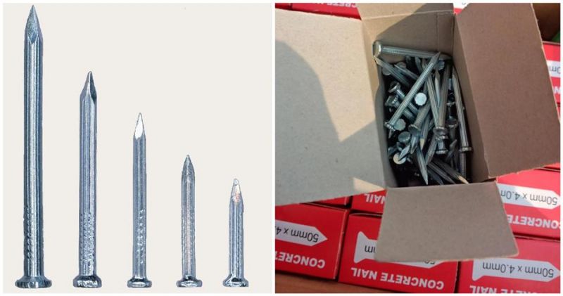 Factory 1/2" 3/4" 5/8"1" Blue Shoe Tack Nail Three Star 380g/Box 400g/Box 1lb/Box 56boxes/Carton with Cheaper Price