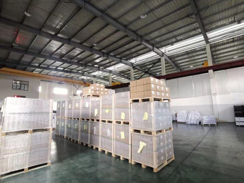 Made in China Factory Supply Bulk Packing Zinc Plated Hollow Wall Anchor