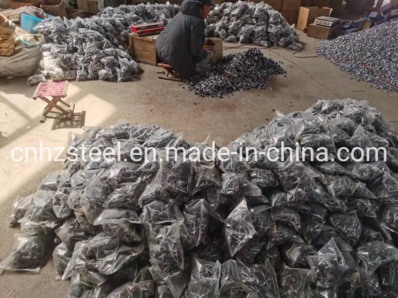 New Product Stock Common Wire Nail /Steel Concrete Nail / Twisted Nail