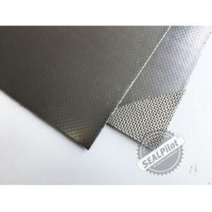 Metal Insert Flexible Composite Graphite Sheet/Gasket Made in China