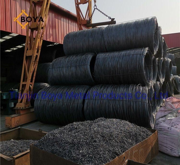 Umbrella Head Nail/Roofing Nail/Big Head Nail with Cheap Price