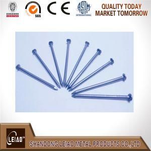 China Factory Common Wood Wire Nails with Good Price