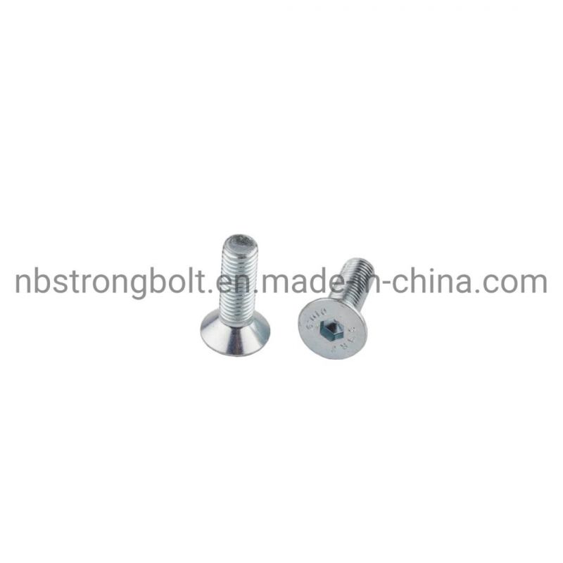 Hexagonal Socket Countersunk Head Cap Screw with Zinc