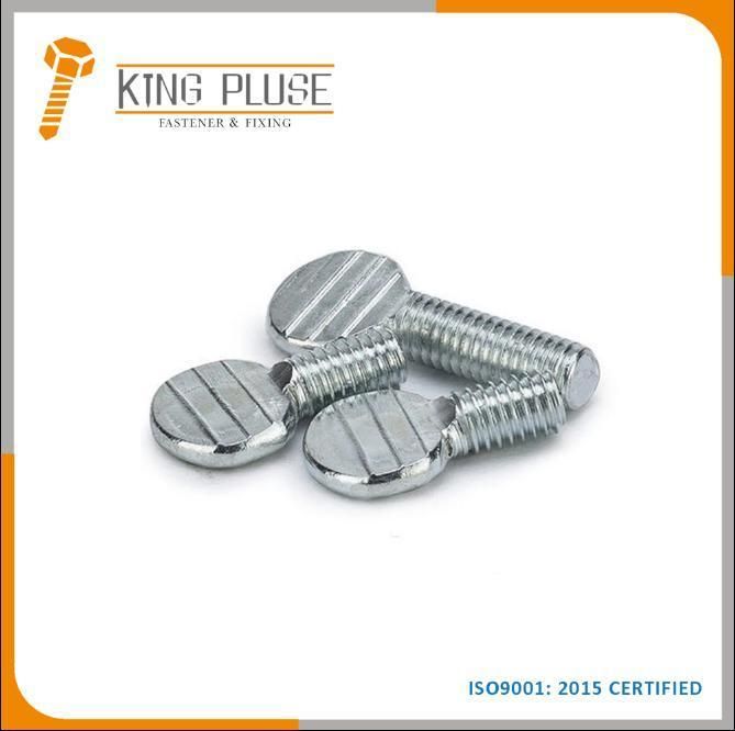 Stainless Steel SS304 Racket Spade Head Thumb Screw