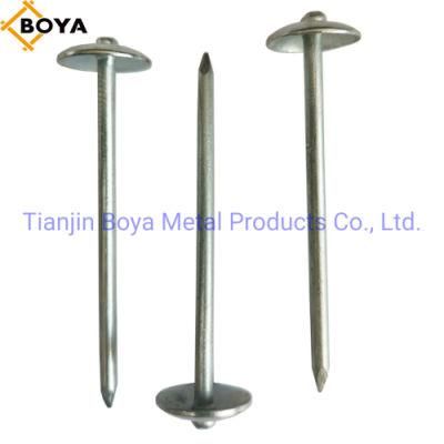 Umbrella Head Roofing Nails with 25kg Per Bag Packing