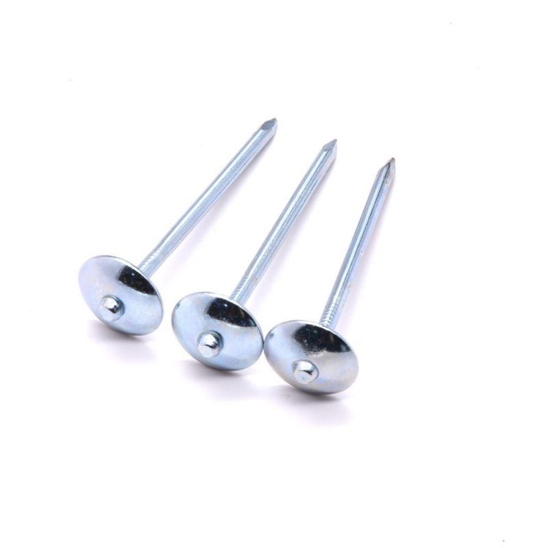 Nigeria Angola Zambia Namibia Market/Roofing Umbrella Nails Twisted Roof Nail Colorful Roofing Nails