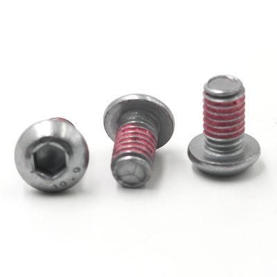 Pan Head Torx Head Stainless Steel Button Head Machine Screws with Nylon Patch