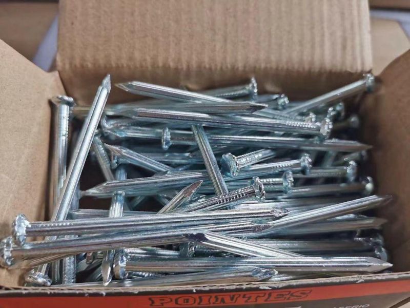 1/2"-6" E. G Concrete Nails/Steel Nails /Hard Nails/ Masonry Nails