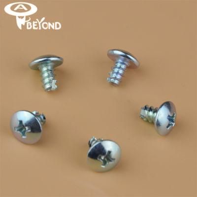 Screw /Truss Head Bolts/ Cutting Point T17 Screw