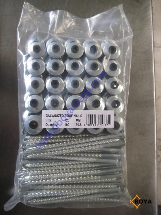 Electro Galvanized Assemble Roofing Nail with Washer
