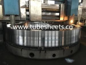 Large Size Stainless Steel Flange
