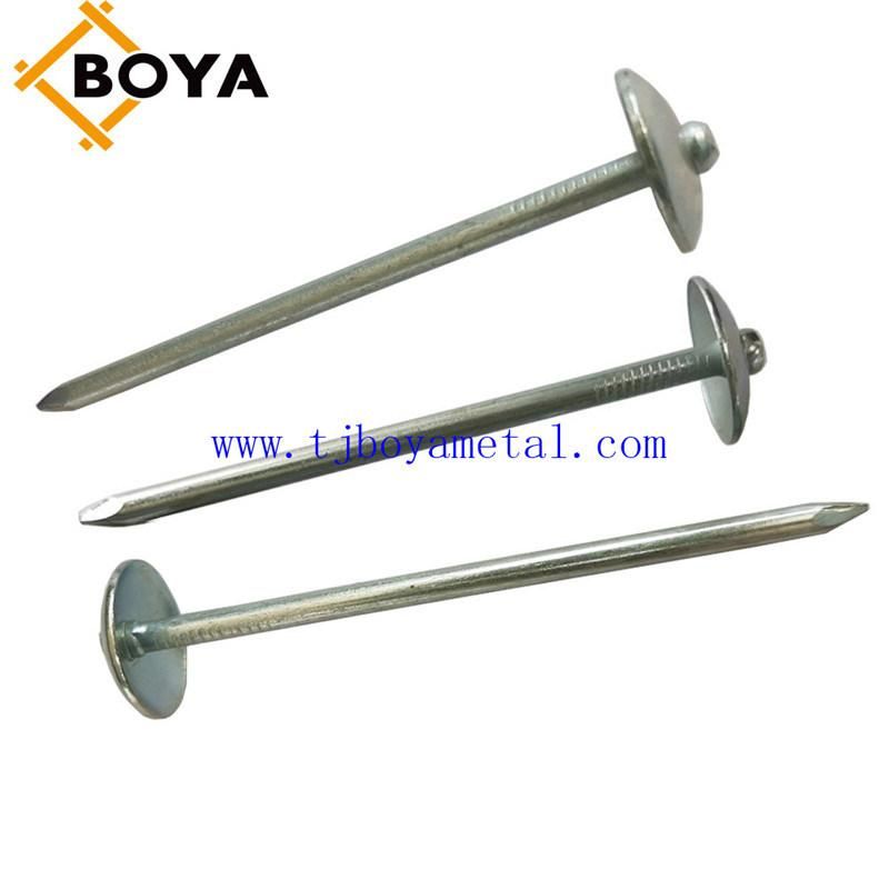 Galvanized Umbrella Head Roofing Nails with Smooth/Twist Shank by Low Price
